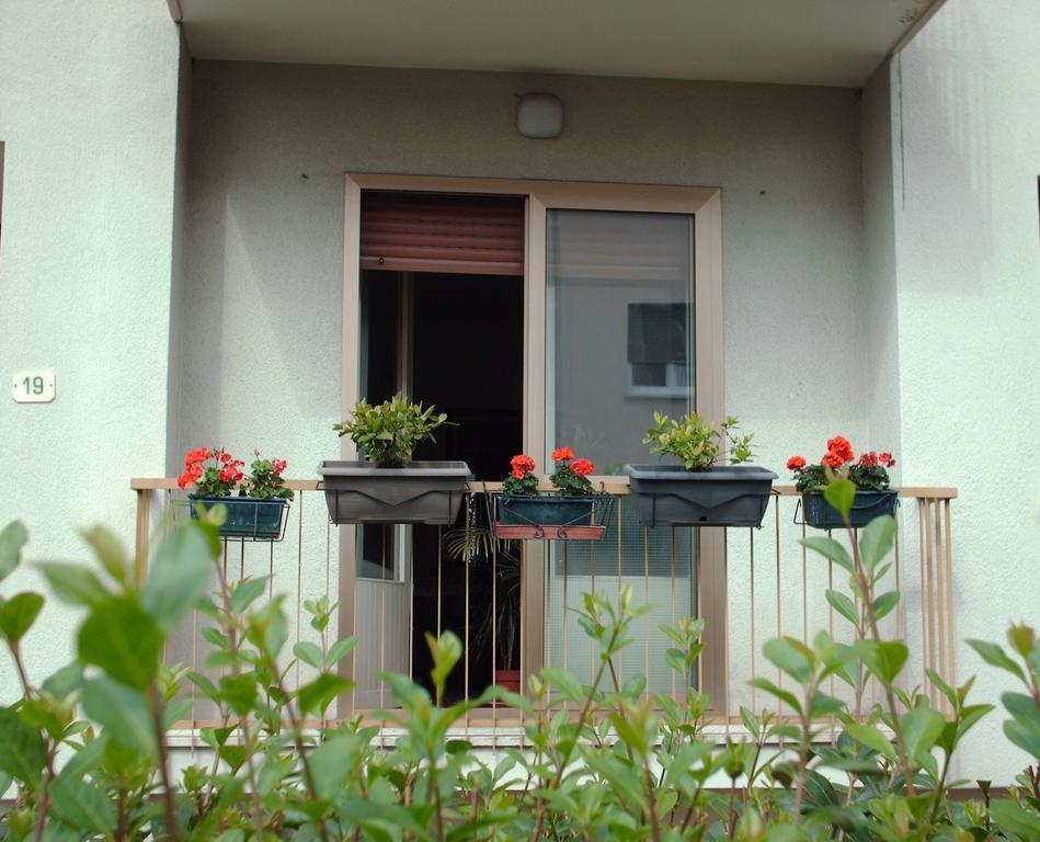 Guest House Cuore Del Friuli Удине Экстерьер фото